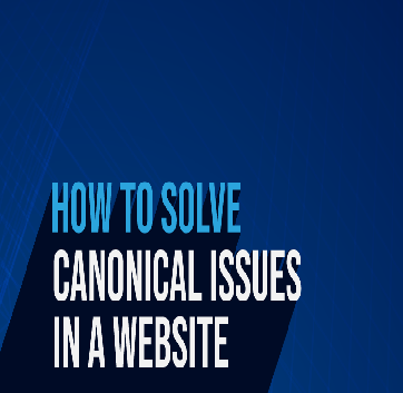 how-to-solve canonical-issues-in-a-website